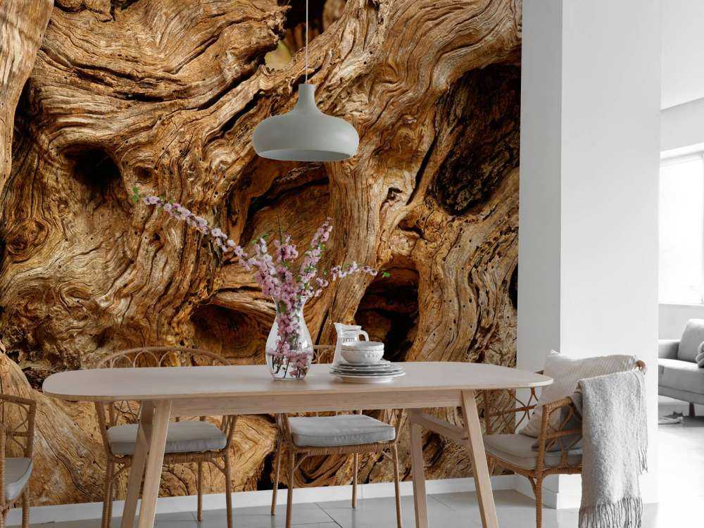 Gammalt träd för närbild