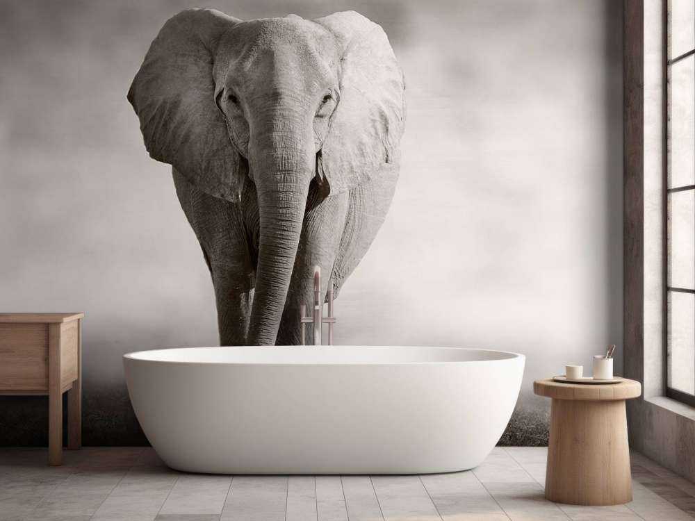 Vacker elefant