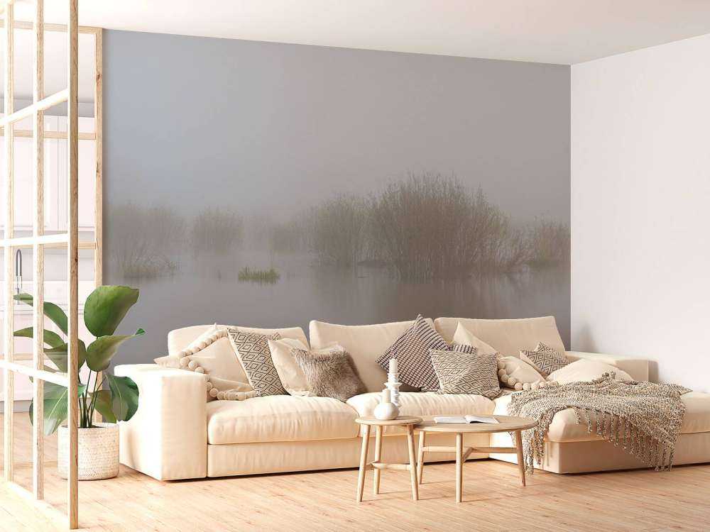 Dimma i naturreservat