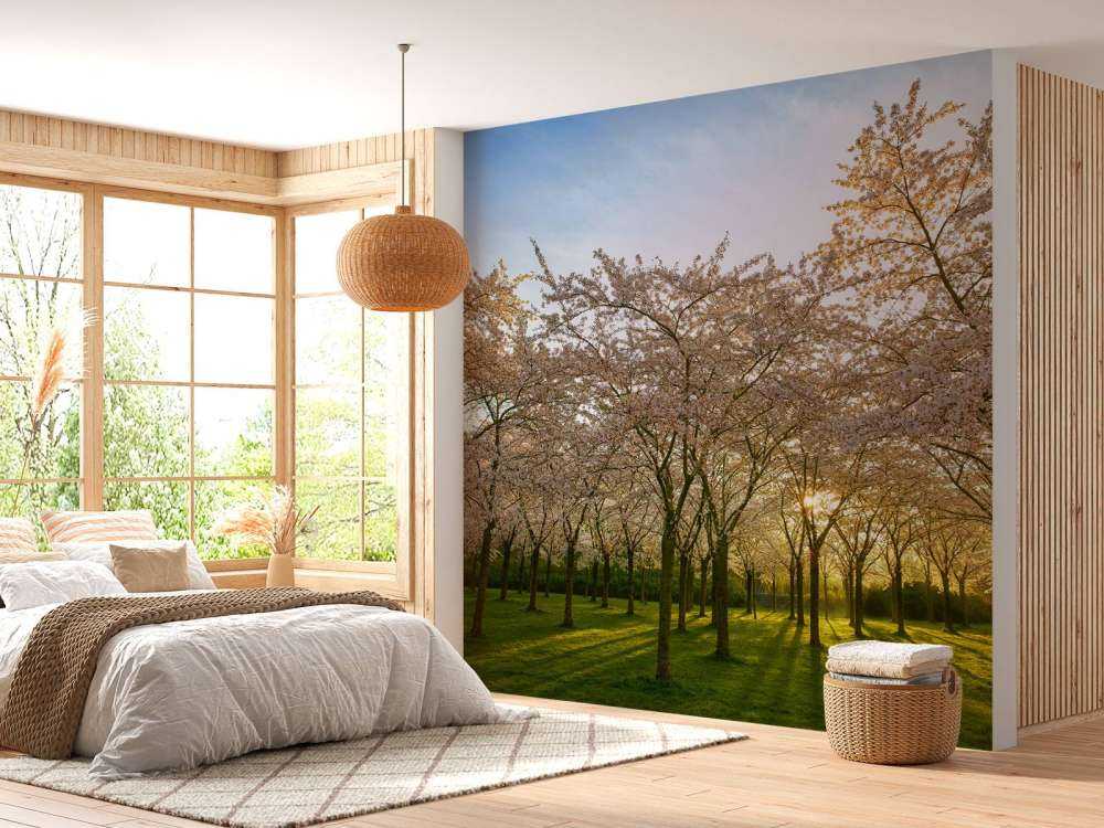 blommande blomningsträd