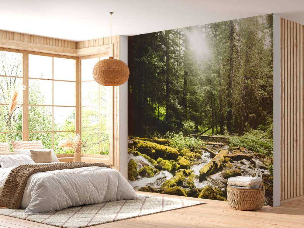 Vattenfall i en skog