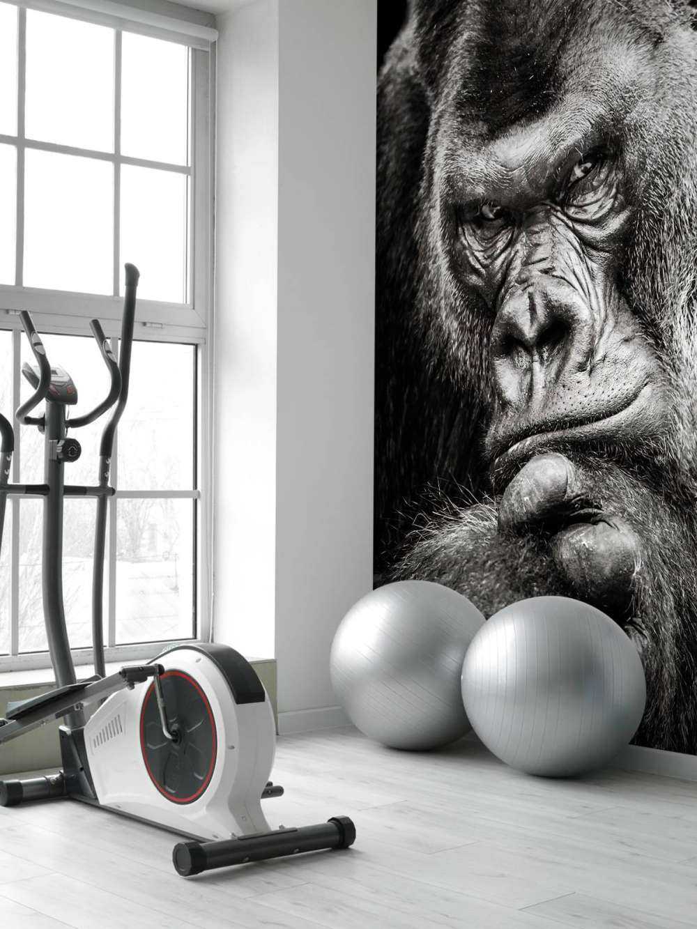 Närbild av en gorilla