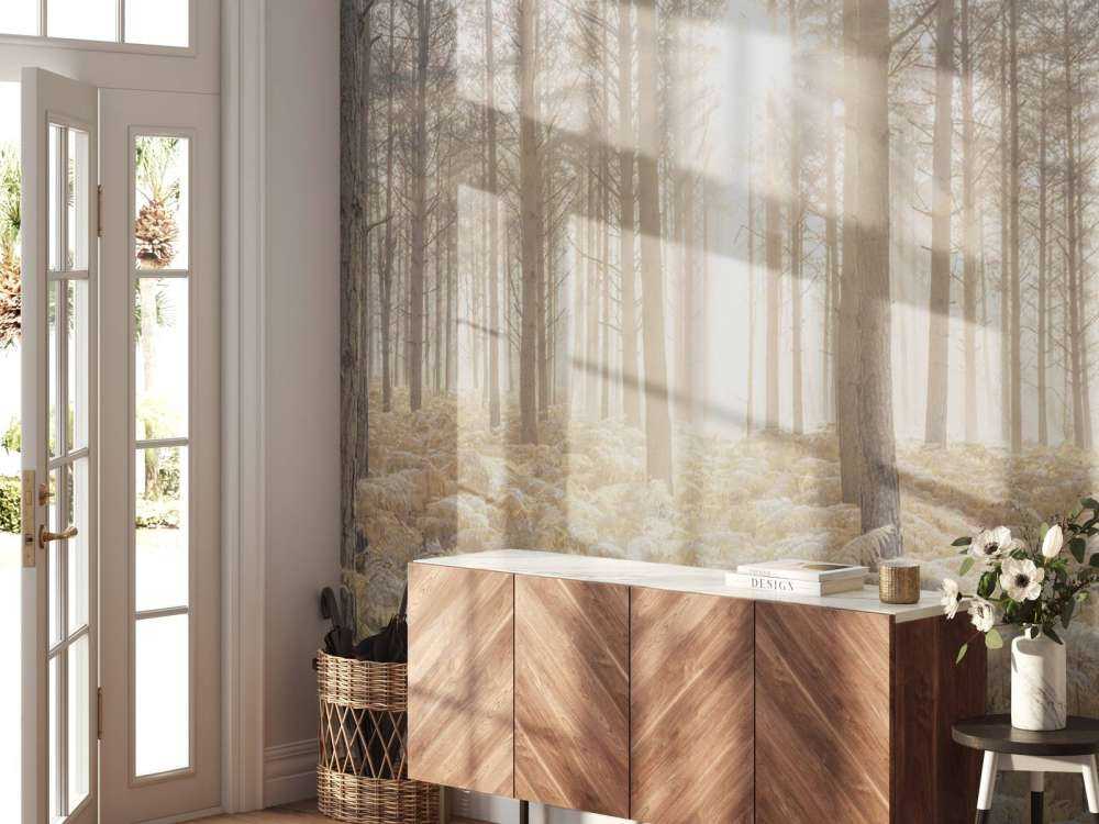 Solstrålar i den kalla skogen