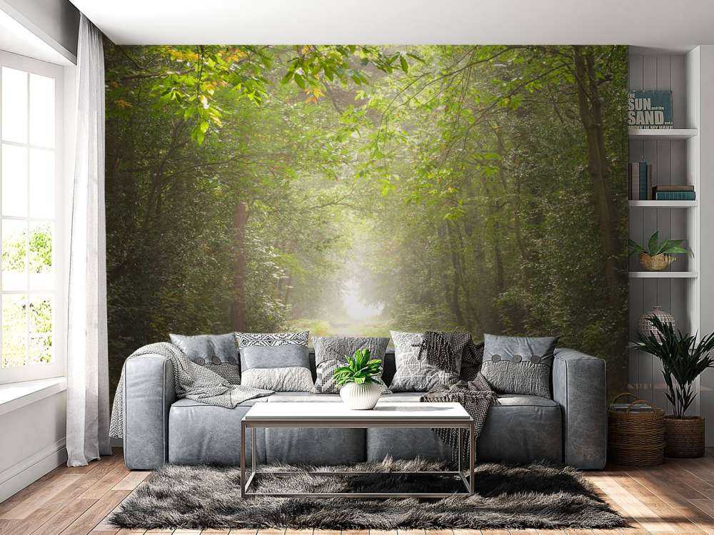 Stig genom dimmig skog