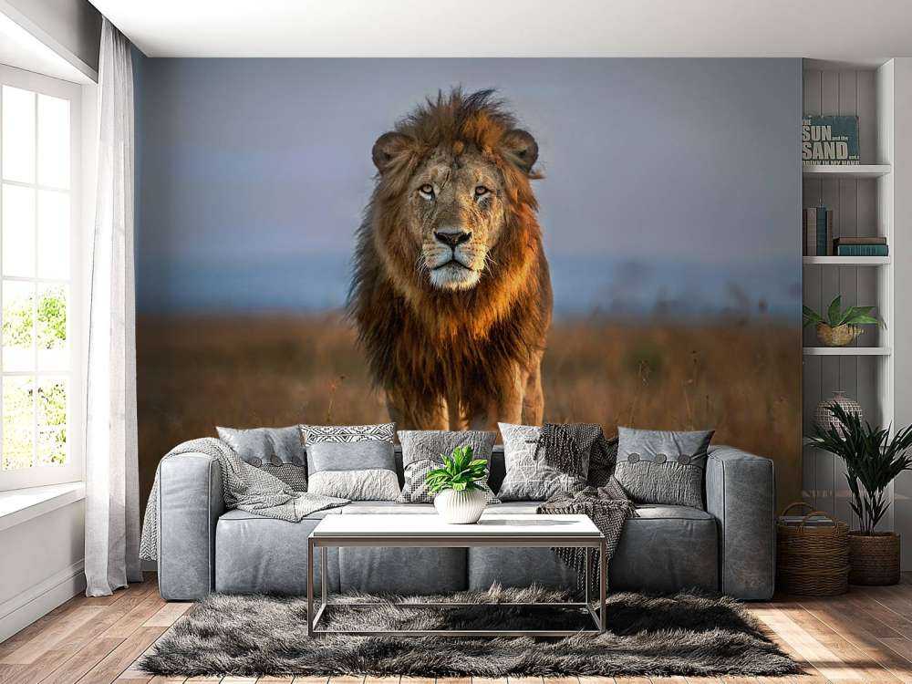 Lion Close Up