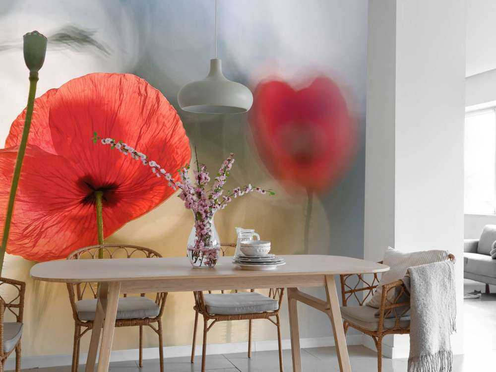 Morning Poppies