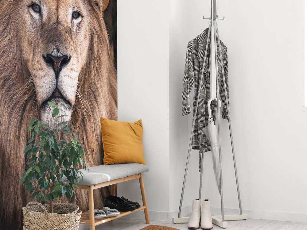 Porträtt av ett lejon