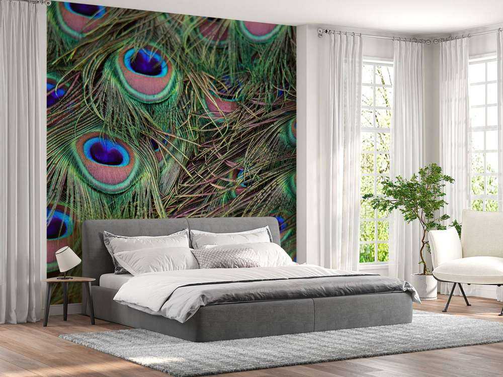 Närbild påfågelfjädrar