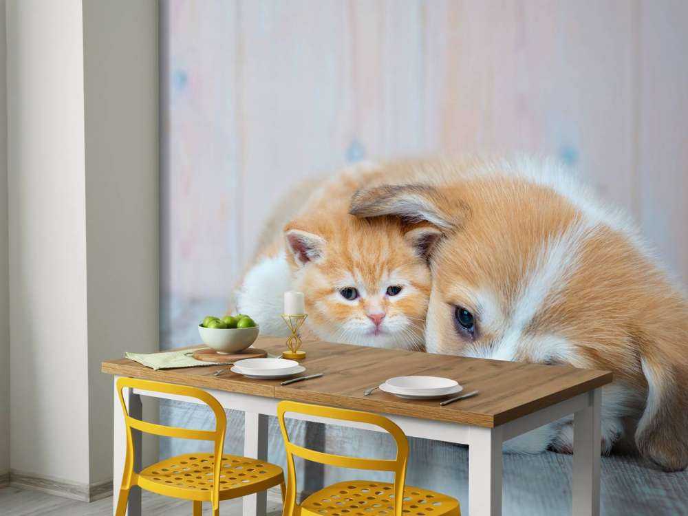 Katt tapet. Bild av en kattunge och valp.