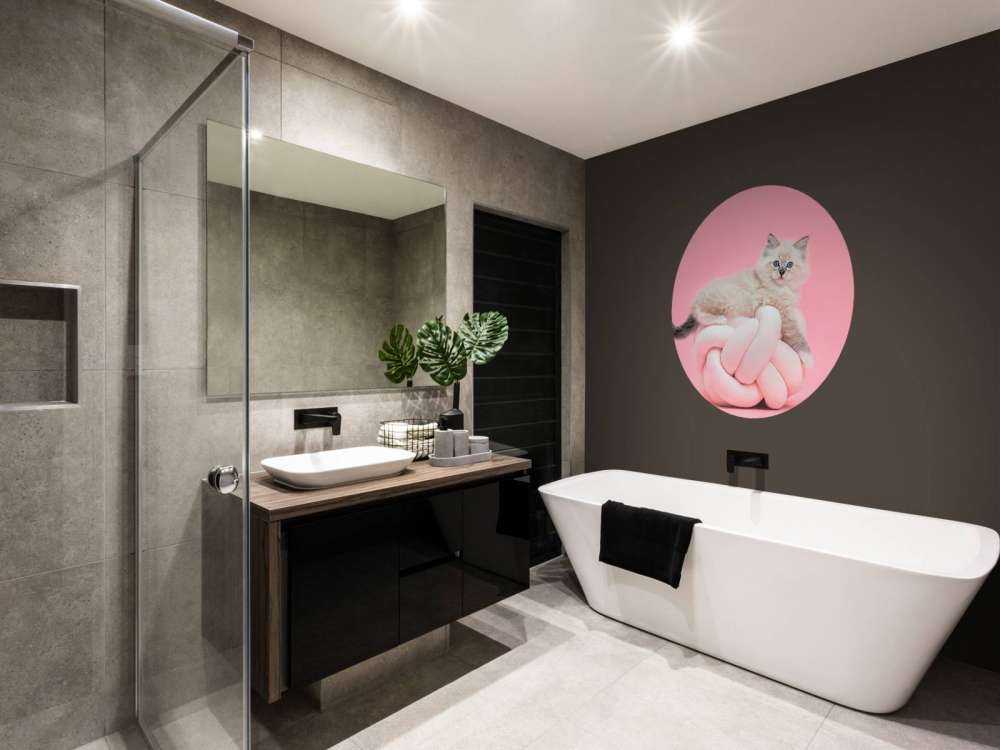 Vit katt på rosa bakgrund