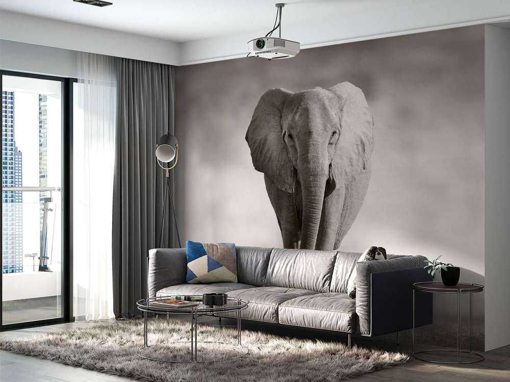 Vacker elefant