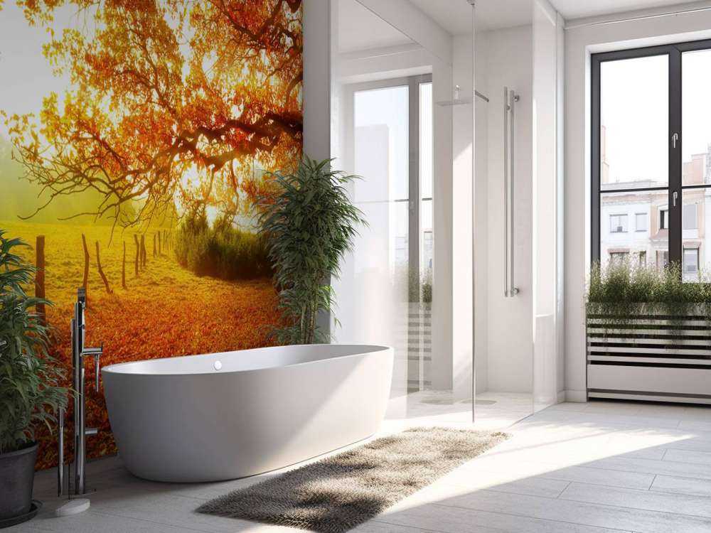 Höstlandskap med skog och äng