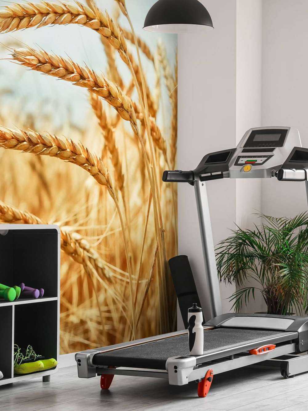 Slut upp av en spannmålsväxt