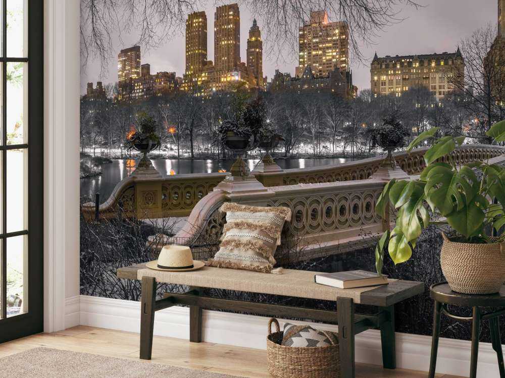 Central park och Manhattan