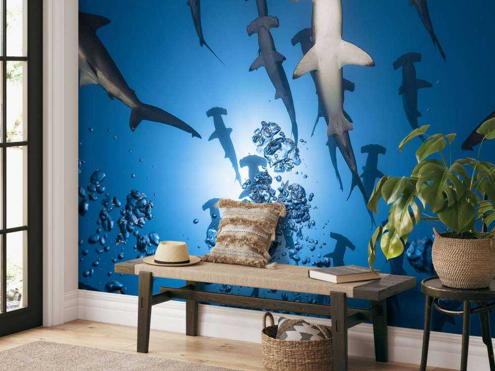 Hammerhead Shark