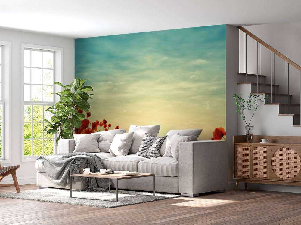 Vallmor i solnedgången