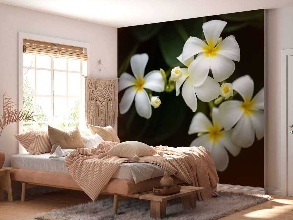 Närbild Plumeria