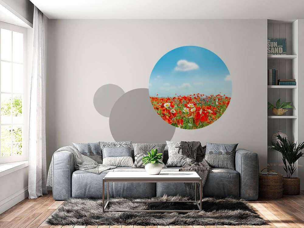 Vallmor och prästkragar