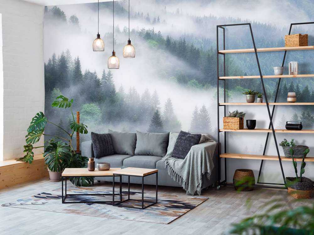 Dimmig skog i bergen