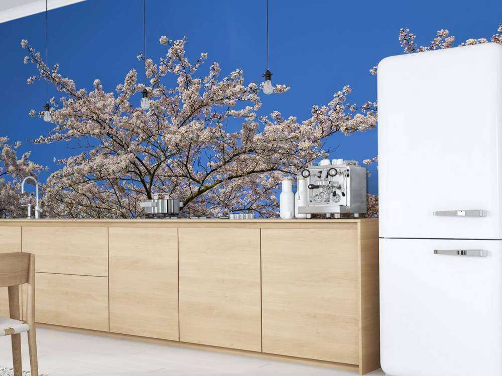 Blomning med blå himmel