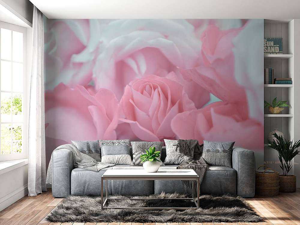 Rose blomster