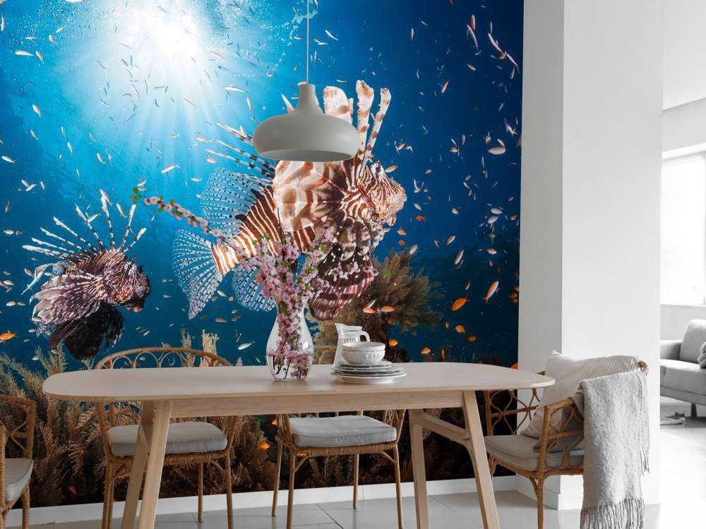 Lionfish