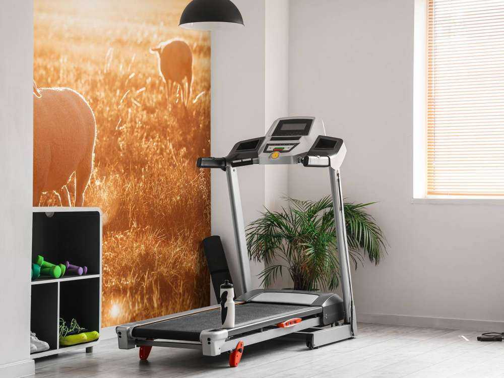 Får på smuk græsmark