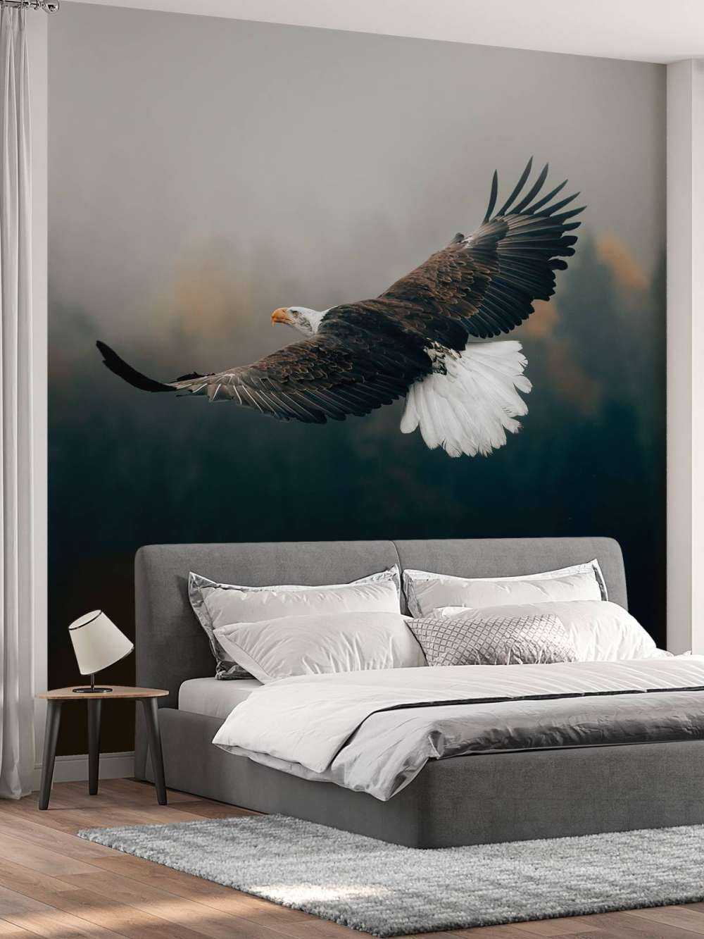 Bald eagle over skoven