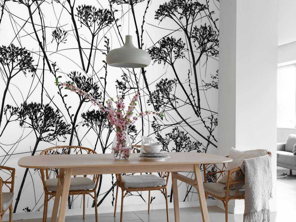 Silhouette of dried plants