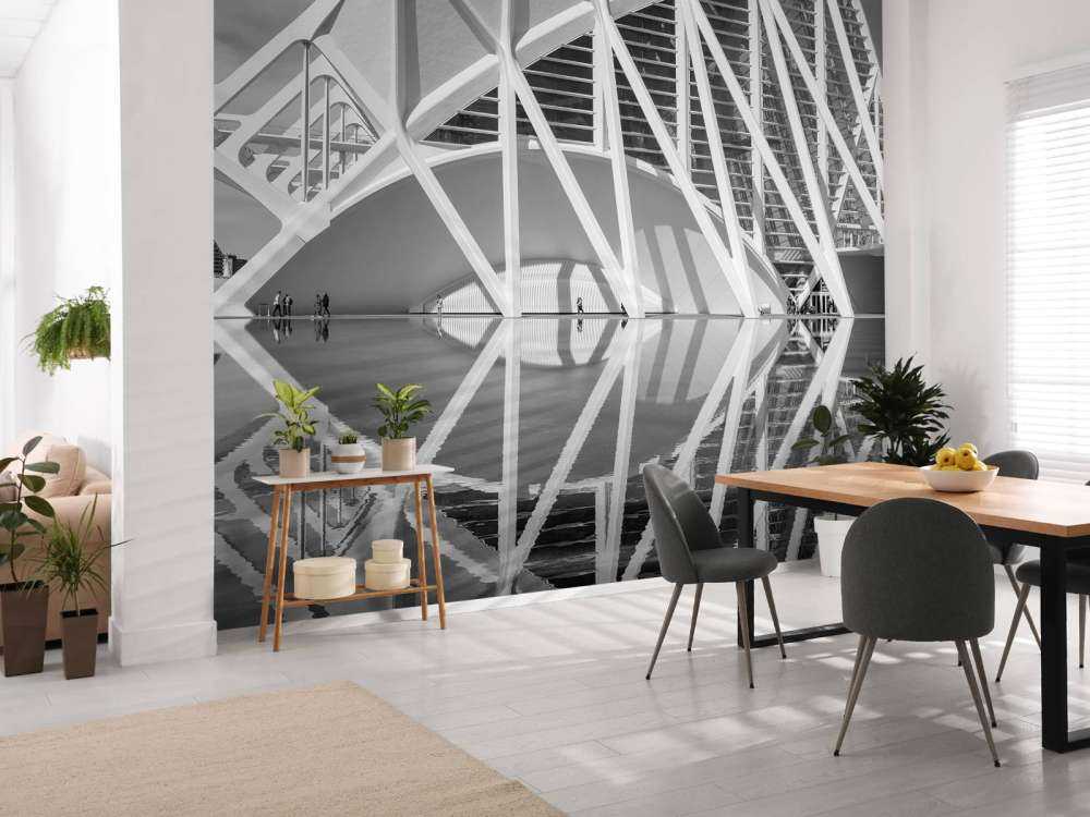 Museo de las Ciencas Principe Felipe - Valencia