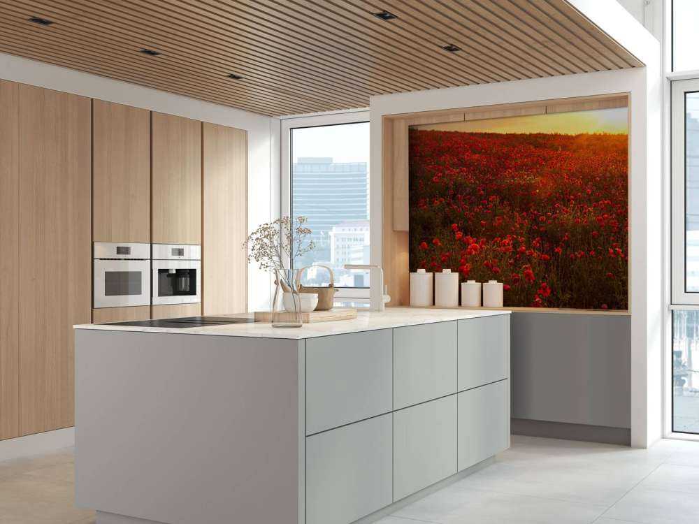 Valmuer på en bakke