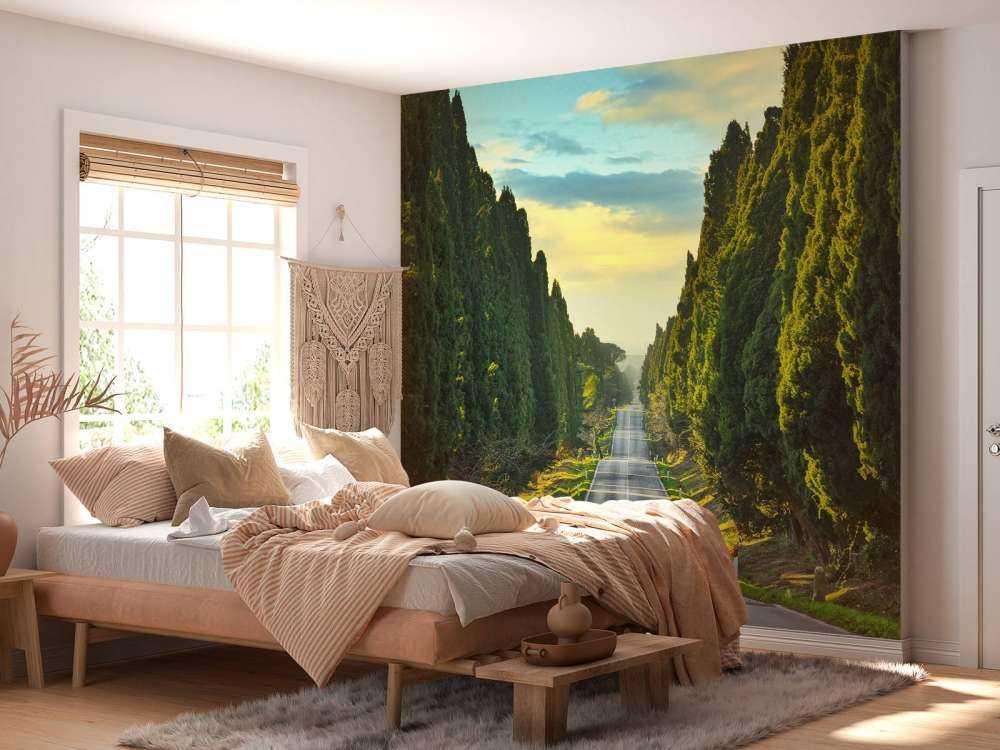 Vej med høje træer