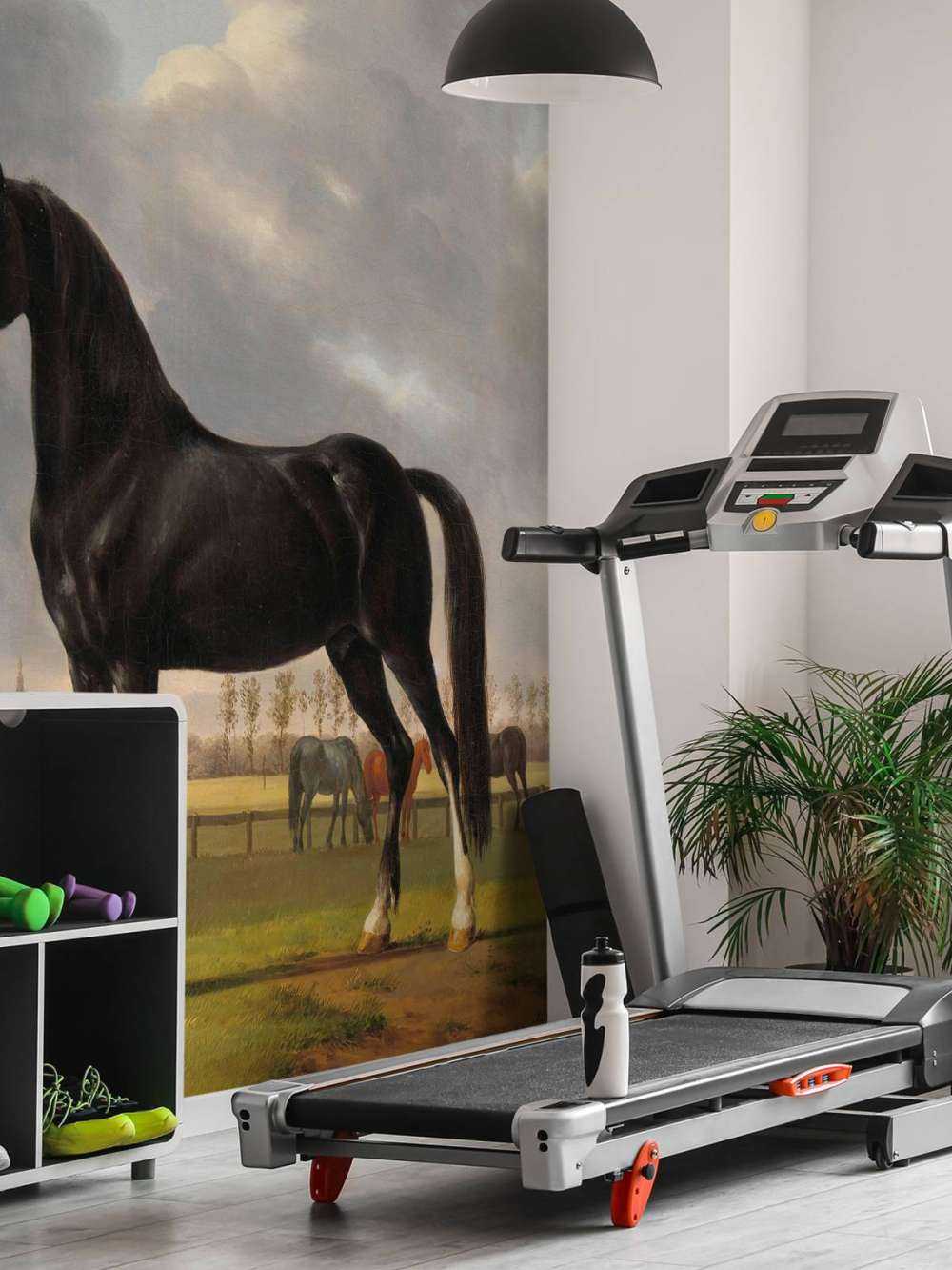 fototapet hest. Harddråer De Vlugge