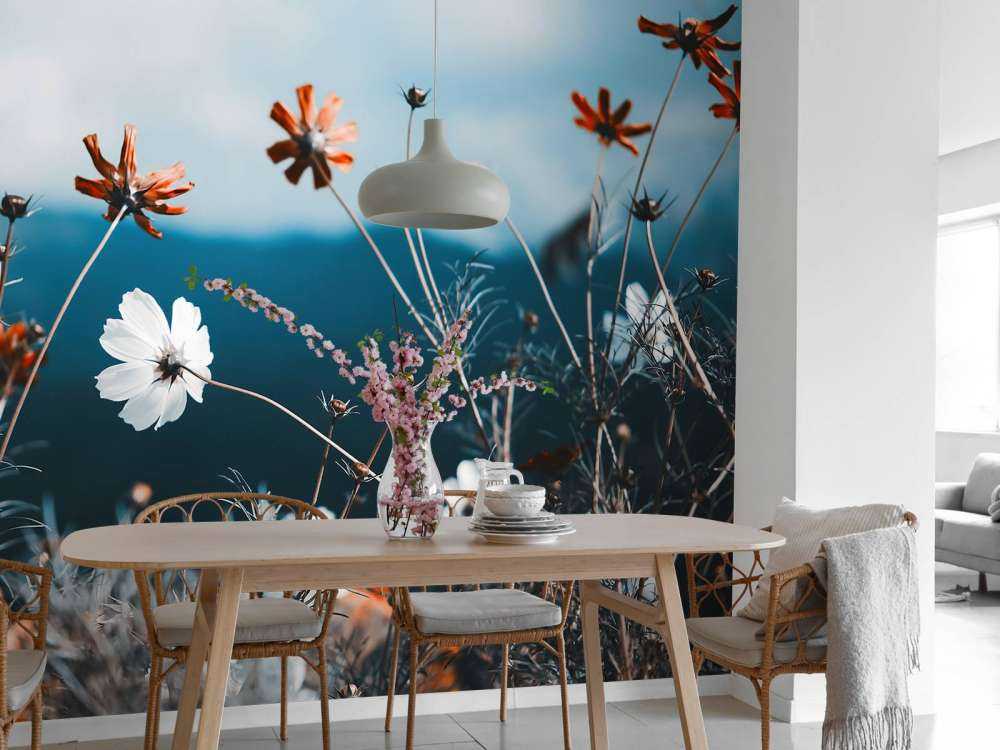 Kosmos blomster i marken