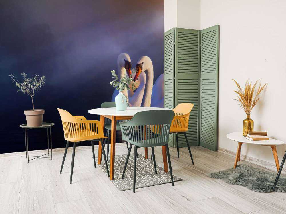 Elsker par hvide svaner