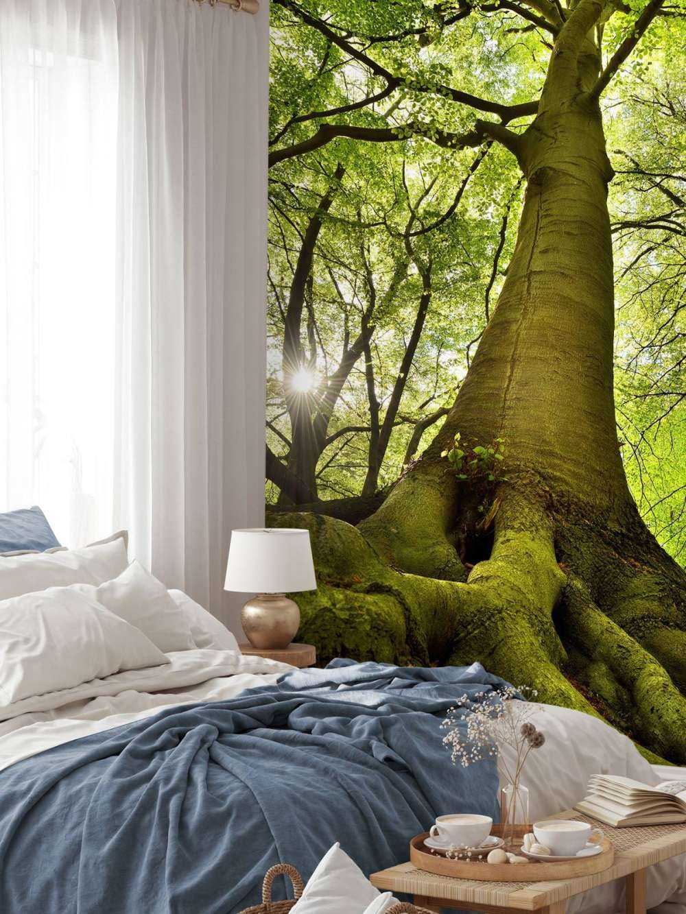 Stort træ og rødder