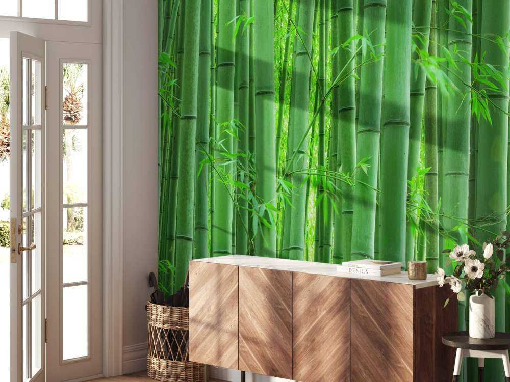 Nærbillede af bambusskov