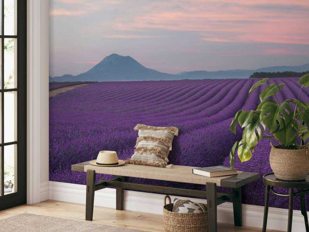 Lavendel felt
