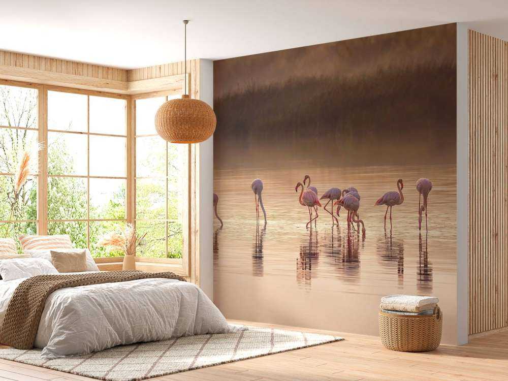 Fotografisk ode til Monet