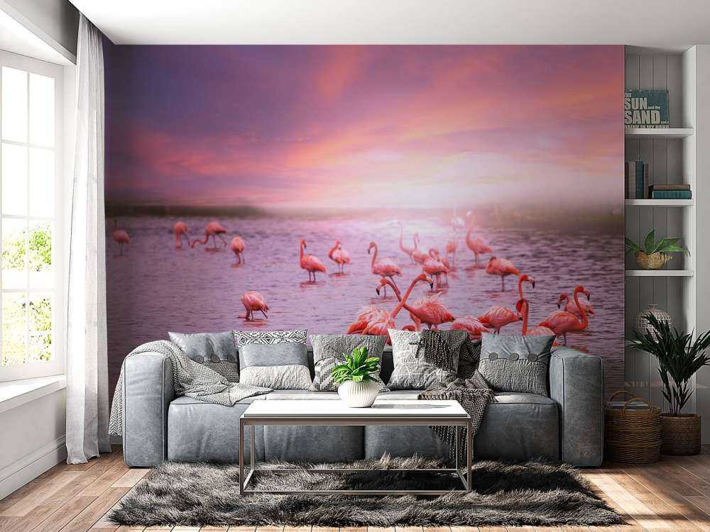 Flamingoer med solnedgang