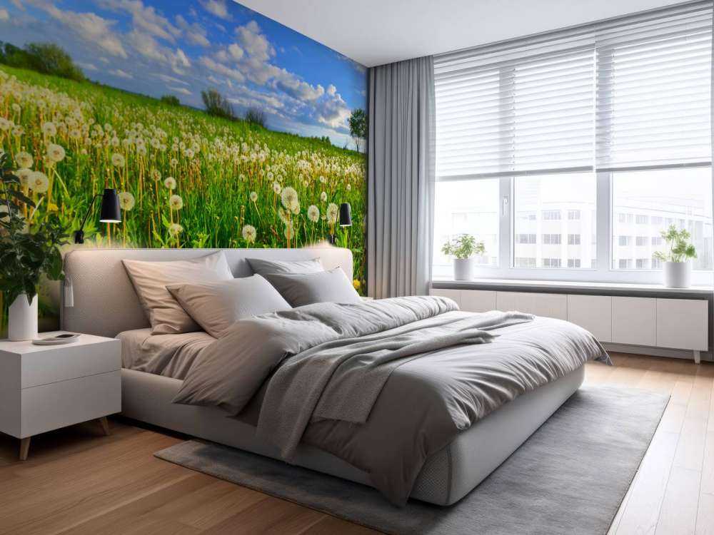 Marker med mælkebøtter