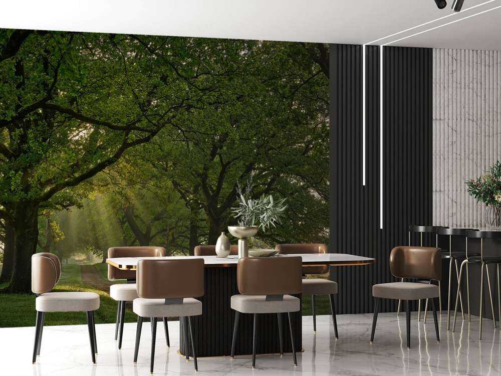 Sti mellem egetræer