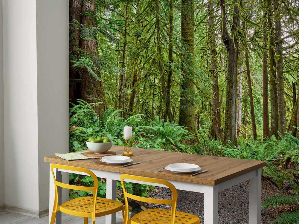 Sti med sten gennem skoven