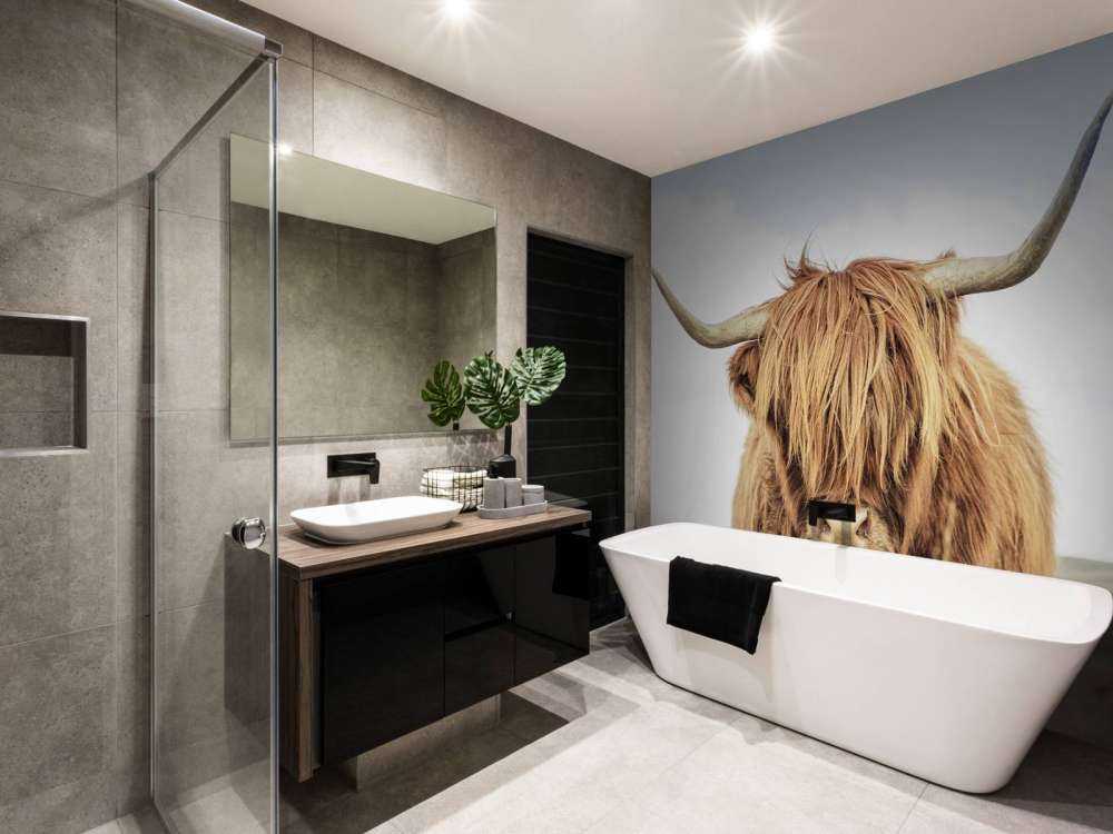 Nærbillede af en skotsk højlander