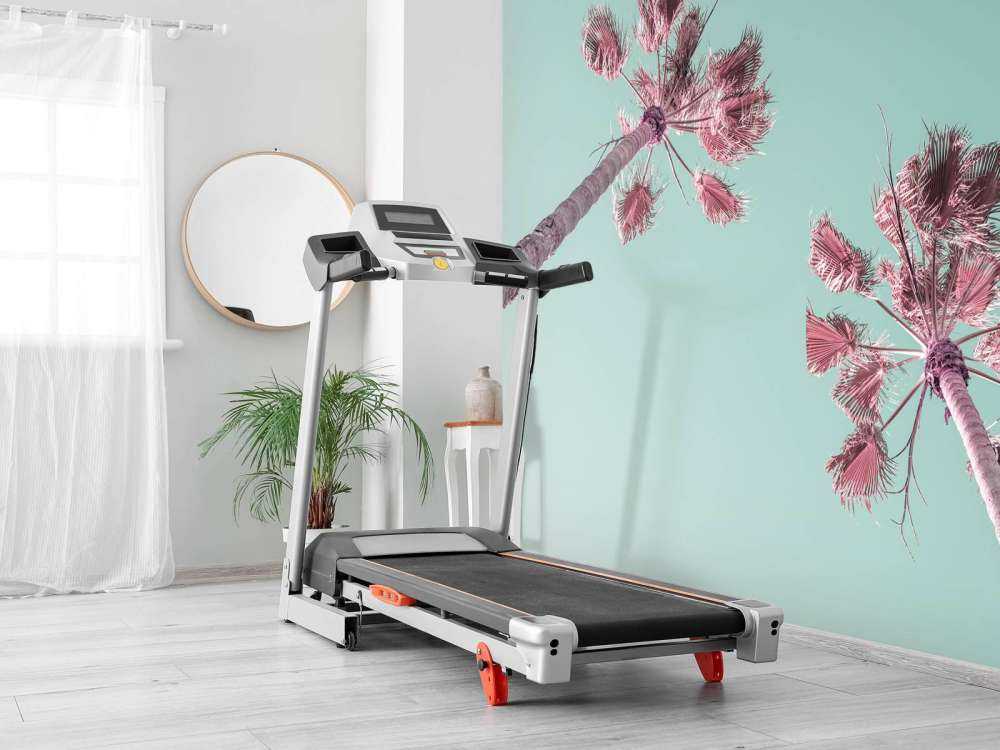 Palmetrær om sommeren