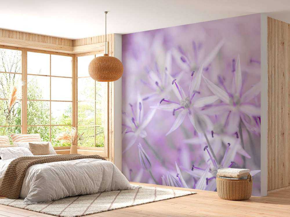 Nærbilde allium blomster