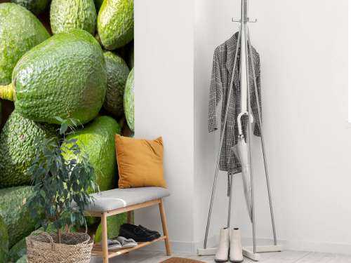 Avokado