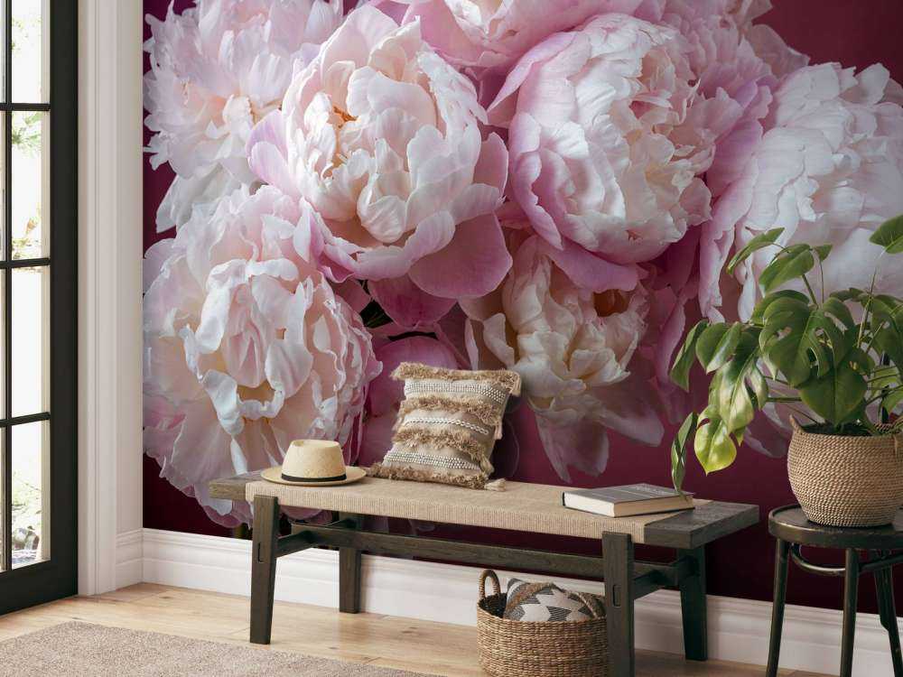 haug med rosa peoner