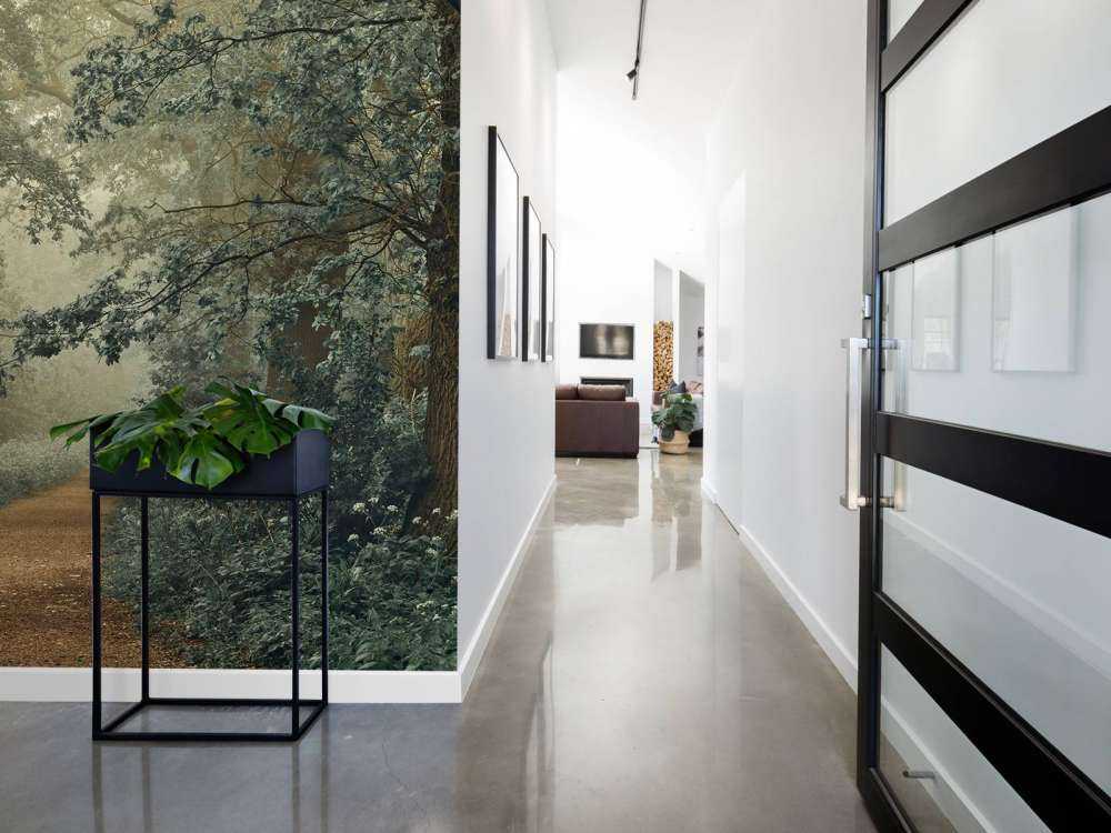 gjennom skog med tåke