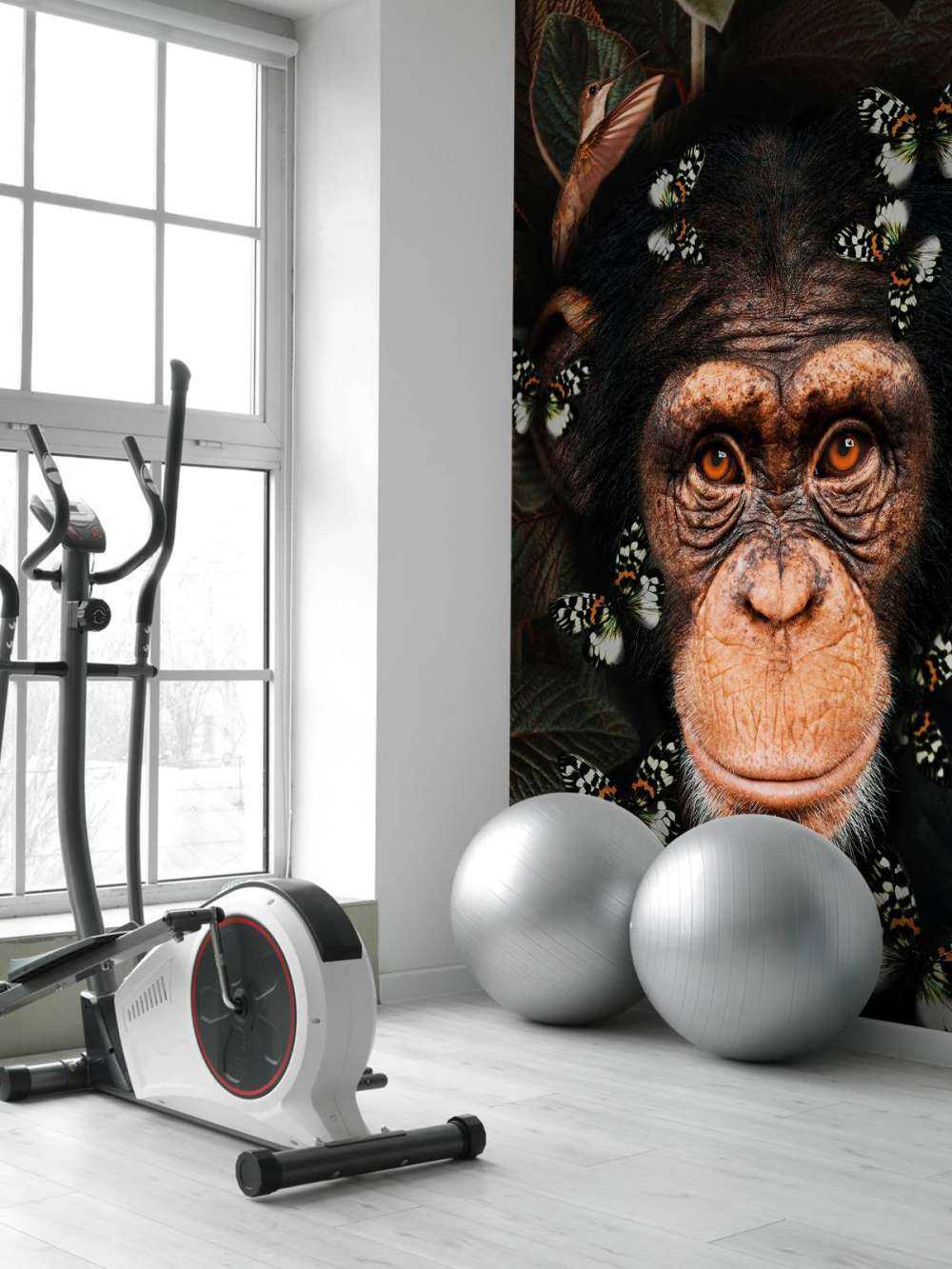 Tropical Chimpanzee Portrett